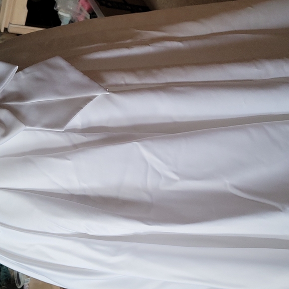 Wedding Dress - Picture 7 of 9